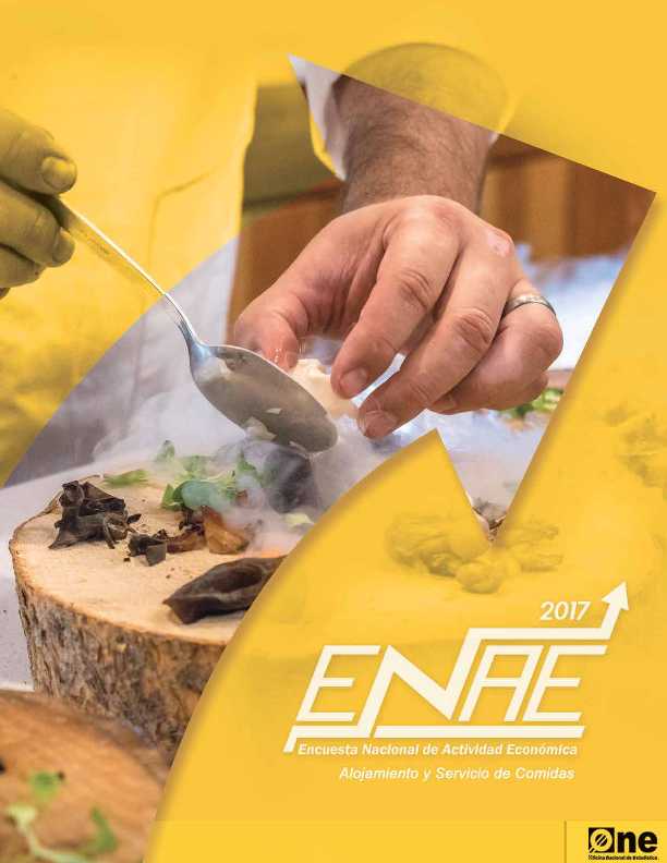Informe Encuesta Nacional de Actividad Económica Sector Alojamiento y Comidas 2017
