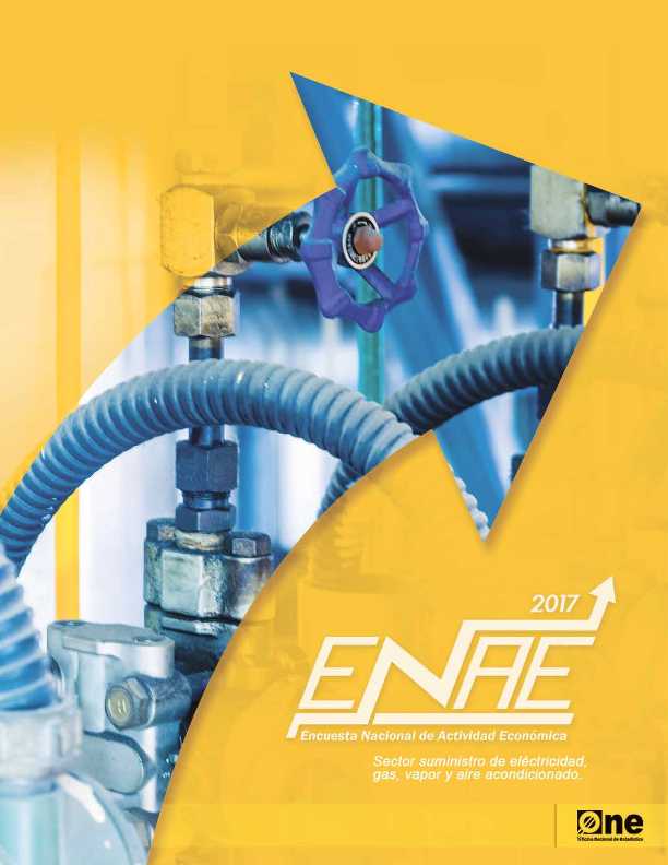 Informe Encuesta Nacional de Actividad Económica Sector Suministro Electricidad Gas Vapor Aire Acondicionado 2017