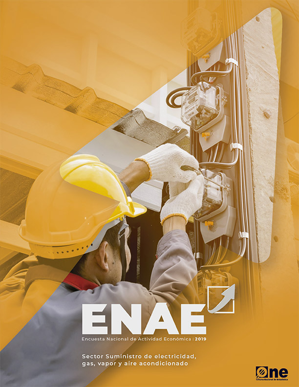 Encuesta Nacional de Actividad Económica 2019 Suministro de electricidad, gas, vapor y aire acondicionado