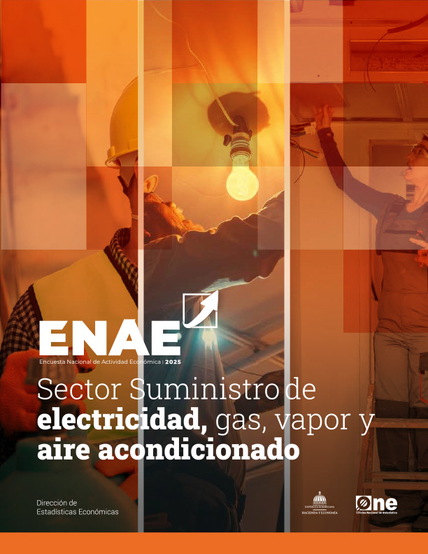 Encuesta Nacional de Actividad Económica, ENAE 2025