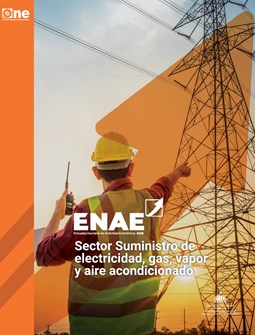 ENAE 2023 - Suministro de electricidad, gas, vapor y aire acondicionado