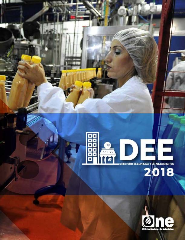 Directorio de Empresas y Establecimientos, Informe Preliminar  2018