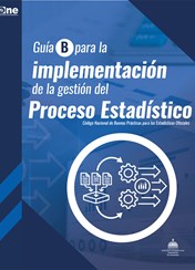 Guía B para la implementación de la Gestión del Proceso Estadístico
