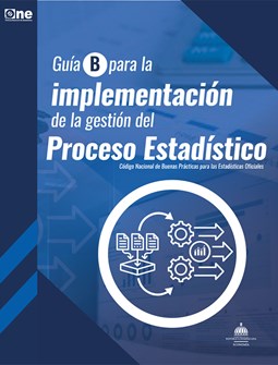 Guía B para la implementación de la Gestión del Proceso Estadístico