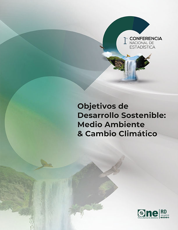 Relatoria 1ra Conferencia Nacional de Estadística 2017