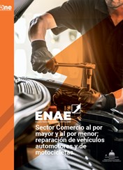 ENAE 2023 - Sector Comercio al por mayor y al por menor