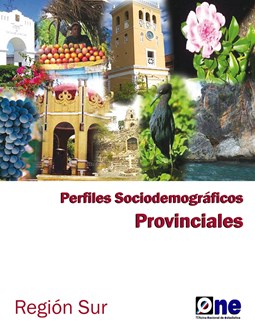 Perfiles Sociodemográficos Provinciales Región Sur 2010