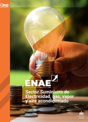 Encuesta Nacional de Actividad Económica, ENAE 2021: Sector Suministro de electricidad, gas, vapor y aire acondicionado.