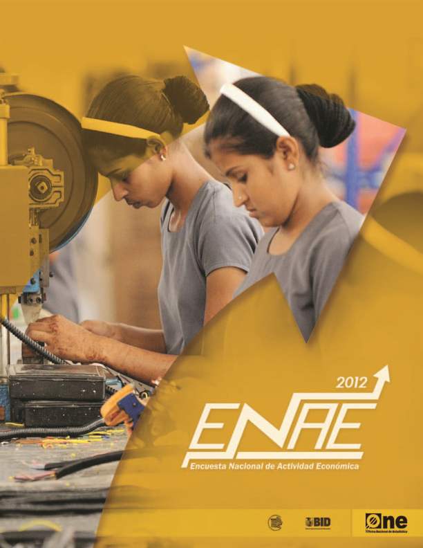 Informe Encuesta Nacional de Actividad Económica 2012