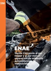 Informe ENAE 2021-Sector Comercio al por mayor y al por menor; reparación de vehículos automotores y de motocicletas