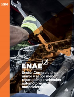 Informe ENAE 2021-Sector Comercio al por mayor y al por menor; reparación de vehículos automotores y de motocicletas