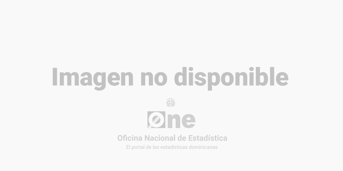 ONE anuncia inicio del levantamiento de la Encuesta Nacional de Hogares de Propósitos Múltiples 2016