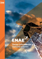 Encuesta Nacional de Actividad Económica, ENAE 2021: Sector Información y comunicaciones.