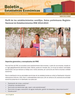 Boletín de Estadísticas Económicas 6 Perfil de los Establecimientos Semifijos Datos Preliminares RNE 2014-2015