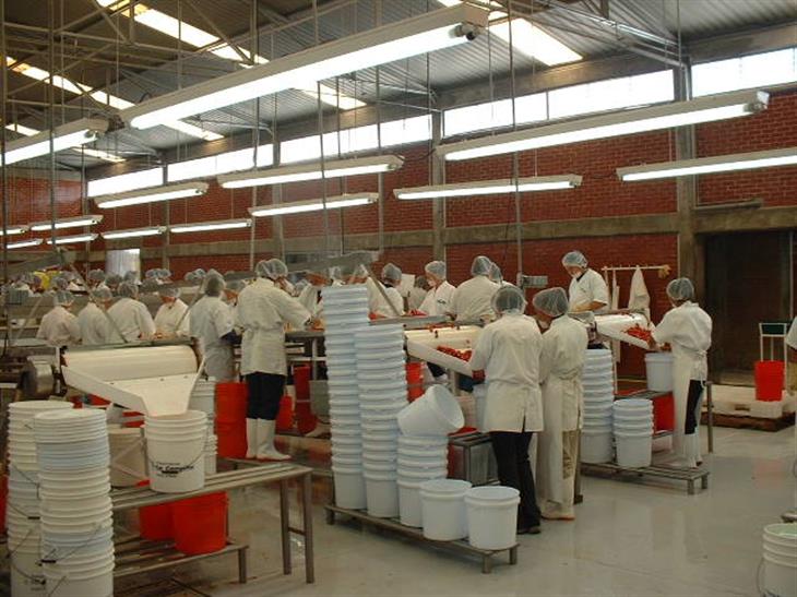 El IPP de las Industrias Manufactureras creció un 0.49%, mientras que el IPP Servicios aumentó un 0.37%