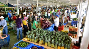 En 2014, las ventas del “Merca Santo Domingo” superaron los RD$1,200 millones