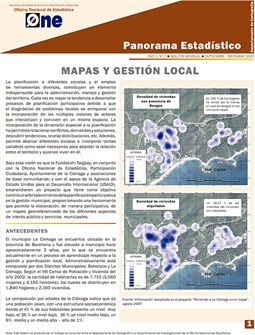 Boletín Panorama Estadístico 07 Mapas y Gestión Local Septiembre-Diciembre 2007