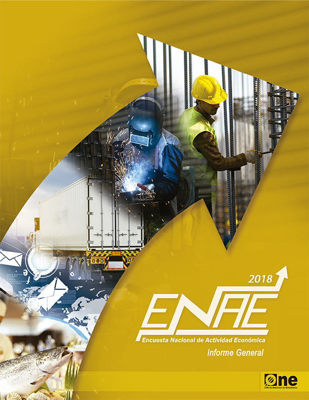 Informe Anual Encuesta Nacional de Actividad Económica 2018