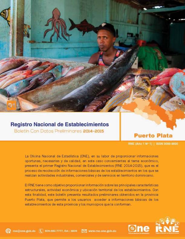 Boletín Preliminar Registro Nacional de Establecimientos Puerto Plata 2014-2015